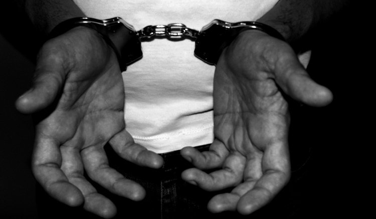 Mandatory Bail u/s 167 Cr.P.C. Punjab & Haryana High Court