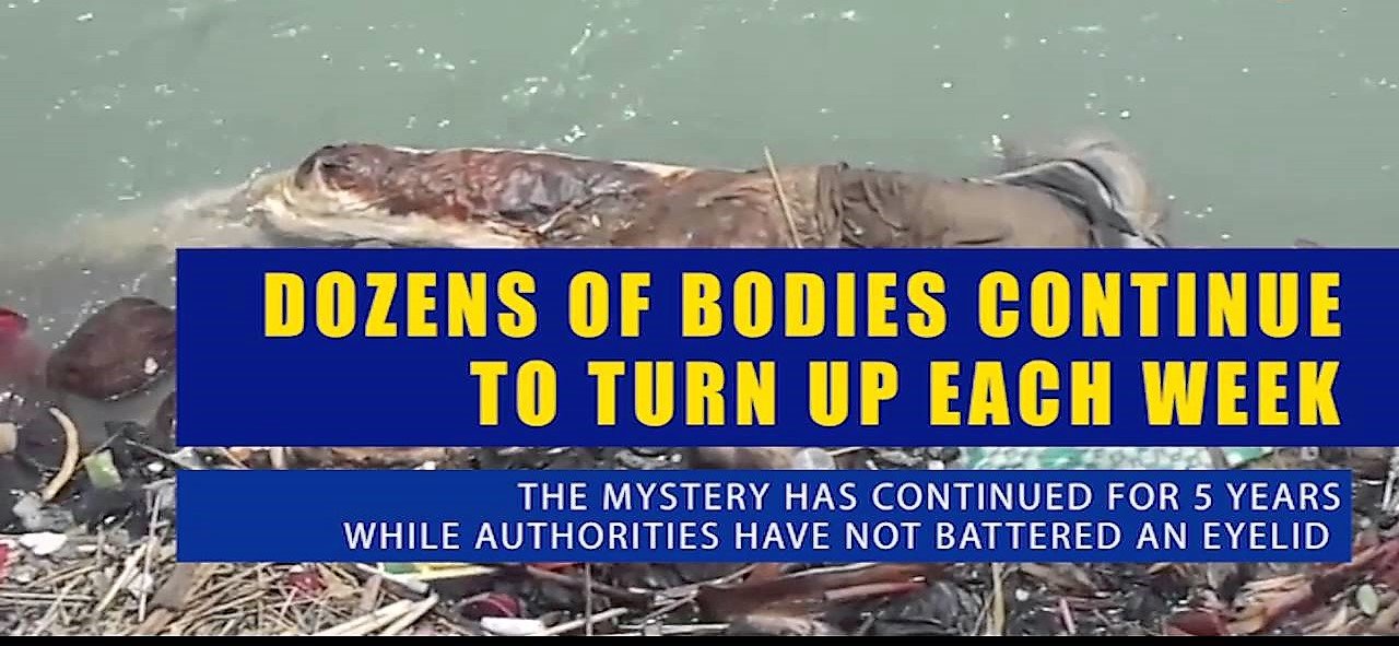 Unidentified/ Murdered Dead Bodies Continue to Surface in Bhakra Canal – High Court Issues Notice...